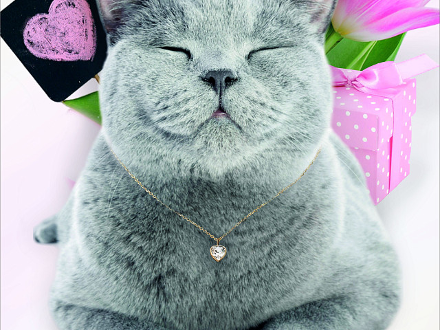 Спешите заказать рекламу и сувениры к 8 марта