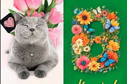 Скидки на печать для 8 марта